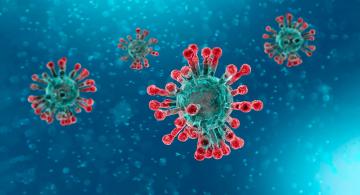В Камчатском выявлено ещё 38 лабораторно подтверждённых случаев заболевания коронавирусом