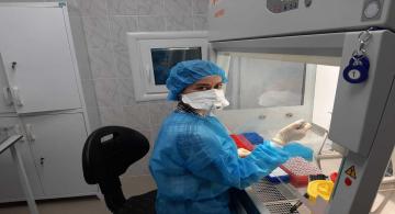 На Камчатке зафиксировано еще 85 случаев коронавируса  