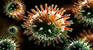 Количество лабораторно подтверждённых случаев заболевания новой коронавирусной инфекцией выросло на (+)8 